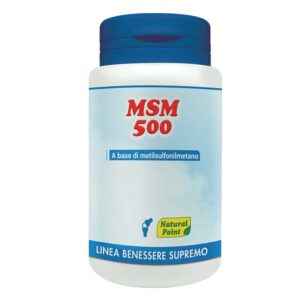 MSM 500